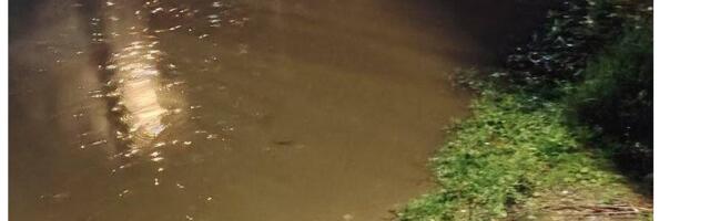 ČItaoci predlažu: Šta je potrebno uraditi iz budžeta grada Leskovca