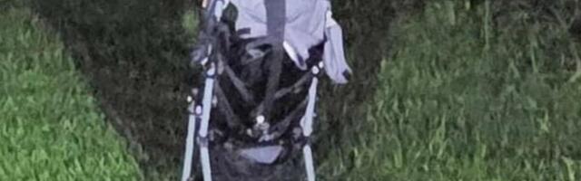 MAJKA OSTALA NA MESTU MRTVA NAKON ŠTO SU BEBINA KOLICA ZAROBILA DRVO: Detalji užasa na Uskrs, bore joj se za život