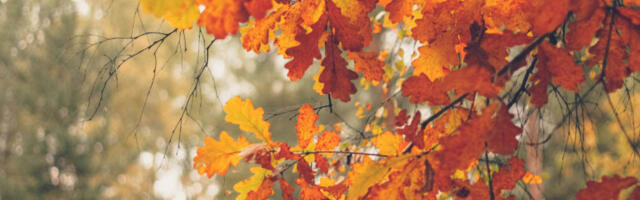 Pred nama je prijatan, pretežno sunčan dan: Temperatura skače do 14 stepeni