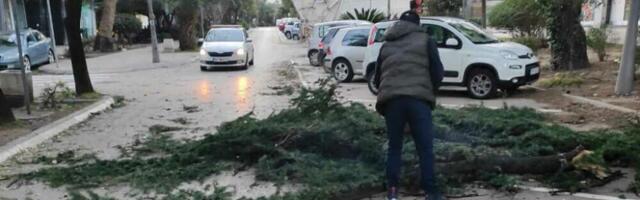 STRAVIČNO NEVREME U BARU! Udari vetra dostizali 90 km na sat, oborena stabla ležala na sve strane, GORELI dimnjak i deo krova (FOTO)