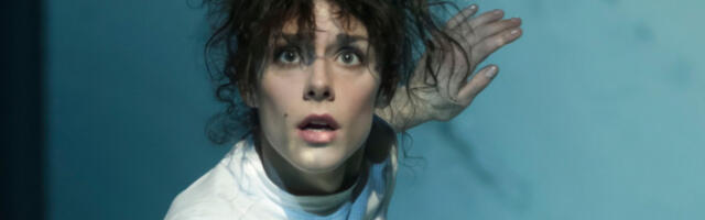 ​„Палчица” премијерно у „Вуку”