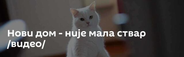 Нови дом - није мала ствар /видео/