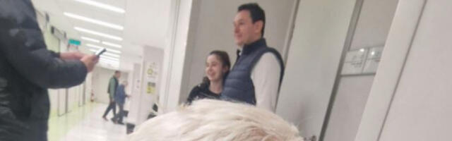 DOKAZANI LAŽOV Dok Šarović glumi žrtvu, deka zbog &quot;kore od banane&quot; završio krvav u hodniku Urgentnog!