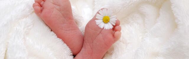 Manje rođenih i umrlih nego lane