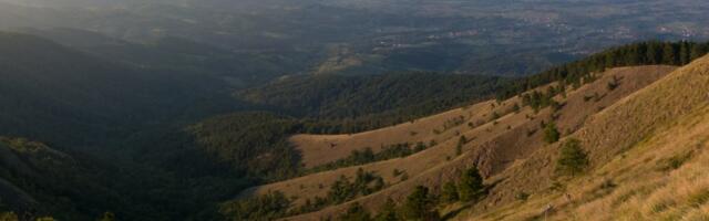 Svi idu u Sokobanju, ali ono najlepše krije se samo nekoliko kilometara dalje