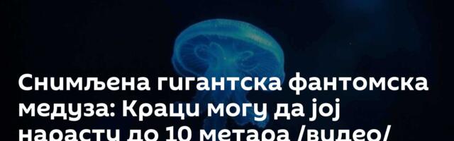 Снимљена гигантска фантомска медуза: Краци могу да јој нарасту до 10 метара /видео/