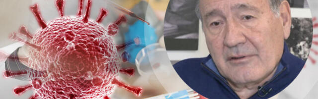 Prof. dr Nožić o HANTAVIRUSU u Srbiji: Infektolog otkriva koliko je zapravo opasan