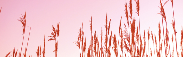 Sve će proći ali nismo na odmoru