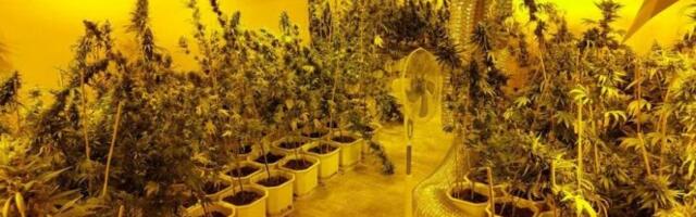 ZAPLENJENA DROGA U KIKINDI! Pao diler, otrkivena laboratorija!