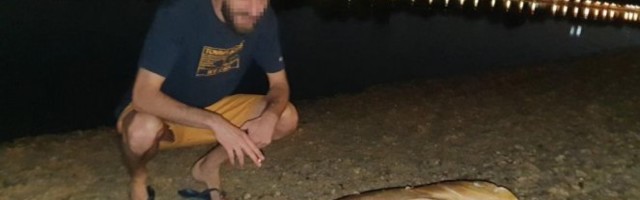 "NEMAN" SA ADE "USIJALA" TELEFON INFORMERA! Javio se drugi čitalac i otkrio da li je "riba čudovište" retkost u jezeru!
