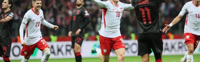 Poljaci preokrenuli Albance i zakazali duel sa Švedskom! /VIDEO/