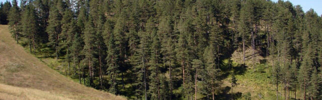 Uticaj “E-turiste”: Za godinu dana na Zlatiboru broj ležajeva u privatnom smeštaju porastao za 45%