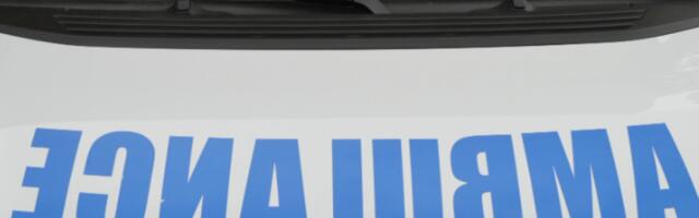 UŽAS U RAKOVICI  Devojčicu (7) u blizini škole, dok je prelazila ulicu na pešačkom udario auto
