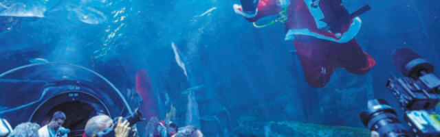 Од врата до врата, од напредњака до напредњака