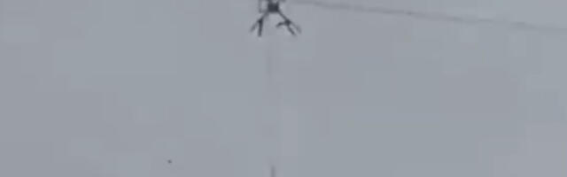 Havarija zbog leteće svinje: Nestala struja u celom selu (VIDEO)