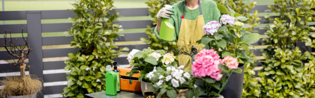 Prolećno uređenje bašte i terase