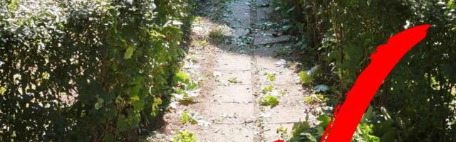 Nakon pisanja Glasa Šumadije pošišana živu ogradu u Milovana Gušića