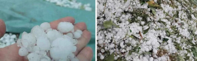 JAKO NEVREME TUTNJI VOJVODINOM! Grad tuče na sve strane, olujni vetar obara semafore... - SLEDEĆI NA UDARU OVI DELOVI ZEMLJE! (FOTO, VIDEO)