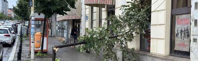 Oboreno drvo i prekid struje kod kafane Balkan otežavaju saobraćaj