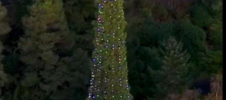 Ovo je najviša božićna jelka na svetu: Ima skoro 50 metara, a ukrašena je sa više od 1.300 lampiona (VIDEO)