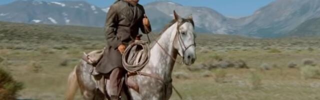 IZVINI ACO SRBINE, ALI SVE ZA ŠAKU DOLARA Zašto je Dodik "zavrnuo" Vučića?