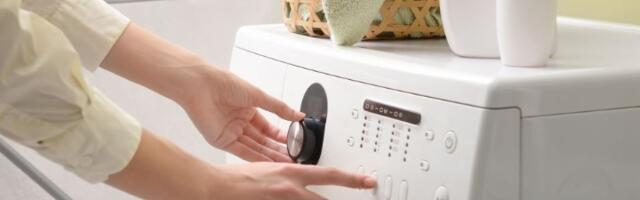 Sipajte LOVOROV LIST u veš mašinu i gledajte kako se dešava ČUDO