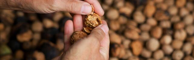 Kupili ste gorke orahe? Ne bacajte ih - ovi trikovi vraćaju ukus za par minuta