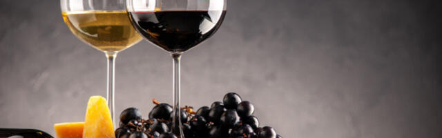 Месаровићева разговарала са винарима о могућности пласмана вина у Кину