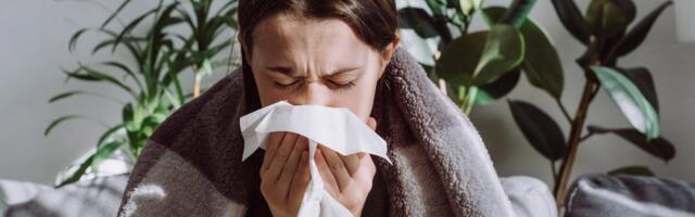 Zapušen nos, glavobolja, umor: Ovaj virus puni domove zdravlja, a nije alergija