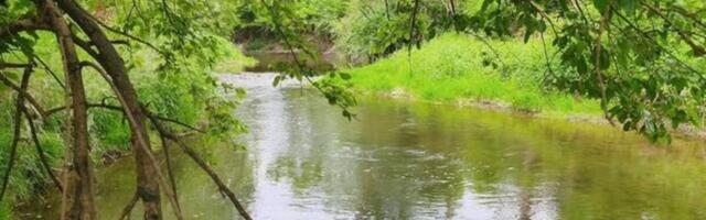 Prodaje se plac pored reke za manje od 10.000 evra: Na sat vremena od Beograda, pravi raj na zemlji