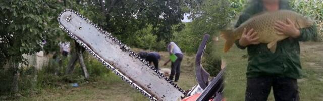 Potera za sinom ubijenog Steve iz Vlaškog Dola! Raspisana međunarodna poternica za mladićem koji je sa majkom i sestrom presudio ocu