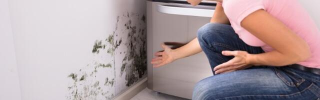 Tajne efektne borbe protiv vlage i buđi u vašem domu