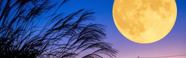 Kako će KORIDOR POMRAČENJA od 7. do 21. septembra uticati na sve znake: Evo kome se menja život iz korena