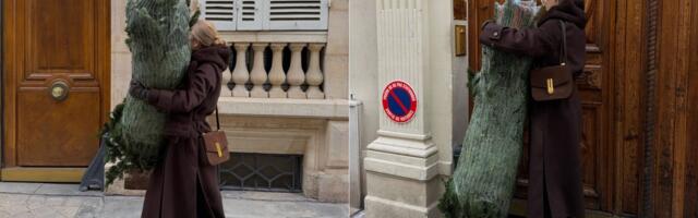 Ove godine birate prirodnu jelku? Evo kako da traje duže