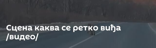 Сцена каква се ретко виђа /видео/
