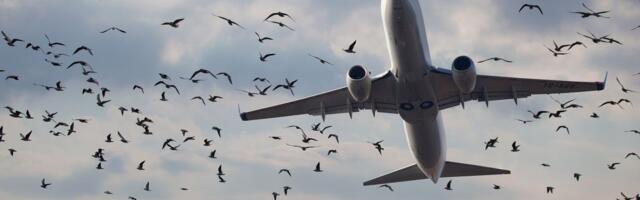 Primirje na Bliskom istoku je tek počelo: Koliko će trajati oporavak zaliha i cena mlaznog goriva?