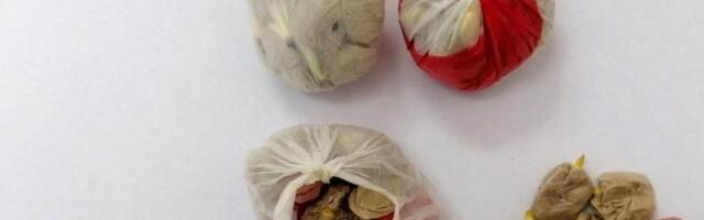 Pao diler u Pančevu: Policija mu pronašla paketiće droge