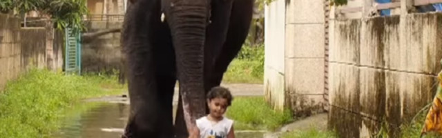 Razlika je ogromna i u veličini i težini, ali je drugarstvo pravo! (VIDEO)