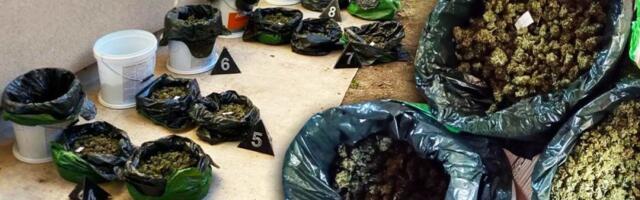 Policija mu u kući i vikendici pronašla više od 9 kilograma droge: Uhapšen diler u Velikoj Plani (FOTO)