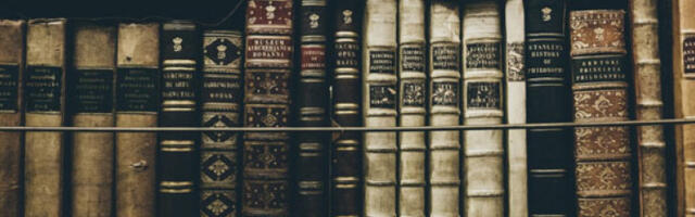 Испод сфере дневне политике