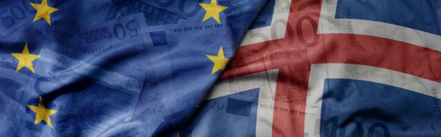 Premijerka potvrdila: Island u narednim mesecima održava referendum o pristupanju Evropskoj uniji