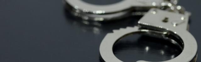 "Majku ću da ti koljem, daj 100.000 evra" Osuđeni razbojnici iz Niša, evo koliko su dobili