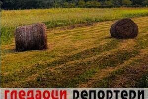 Гледаоци репортери (30. новембар 2022)