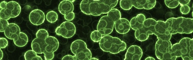 Ove stvari izbacite na vreme iz kuće, inače vam se loše piše