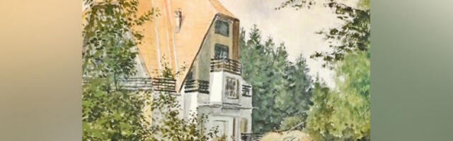 Визуелна оркестрација маестра Младена Јагушта