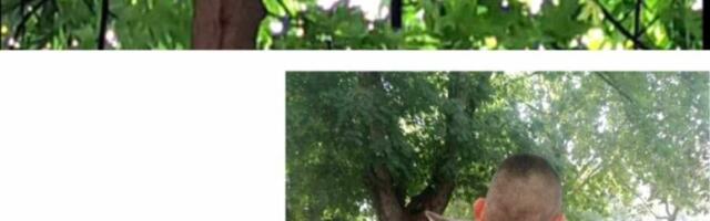 Macu zaglavljenu u krošnji drveta spasili niški vatrogasci dobrovoljci. Mala-velika dela koja vraćaju veru u ljude.