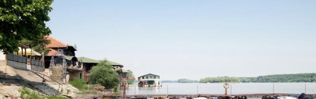 NIŠTA DUNAV, SAVA I VELIKA MORAVA Kreće uvoz šarana