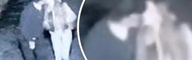 "Postoje njihovi intimni snimci" Novi šok detalji odnosa Sofije i Daneta (70), on pregovara da uđe u Elitu?!