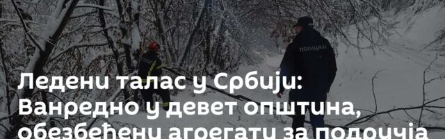 Ледени талас у Србији: Ванредно у девет општина, обезбеђени агрегати за подручја без струје