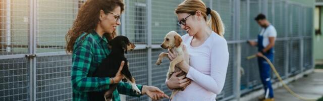 Jakovljević: Predloge Zakona o dobrobiti životinja i Zakona o veterini hitno povući iz procedure